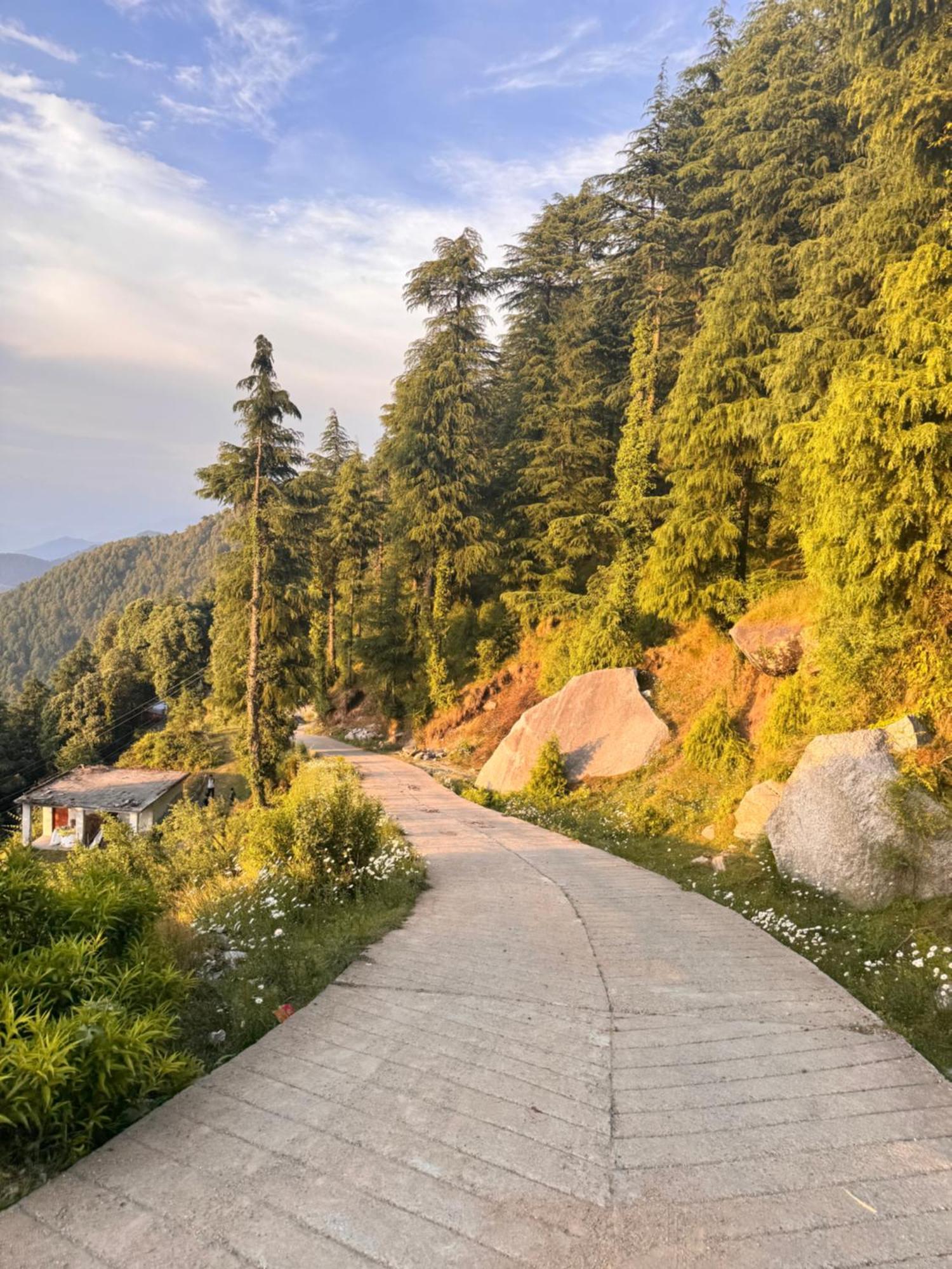Aditya Homestay Dalhousie Dış mekan fotoğraf