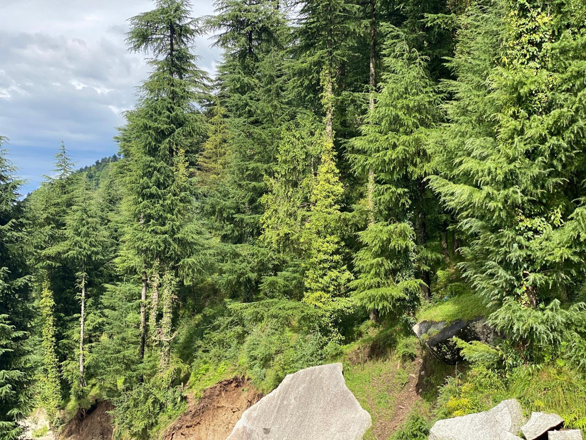 Aditya Homestay Dalhousie Dış mekan fotoğraf